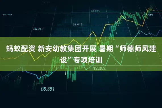 蚂蚁配资 新安幼教集团开展 暑期“师德师风建设”专项培训
