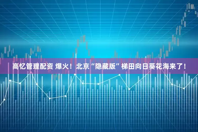 高忆管理配资 爆火！北京“隐藏版”梯田向日葵花海来了！